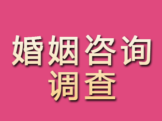 礼泉婚姻咨询调查